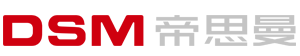 DSM logo